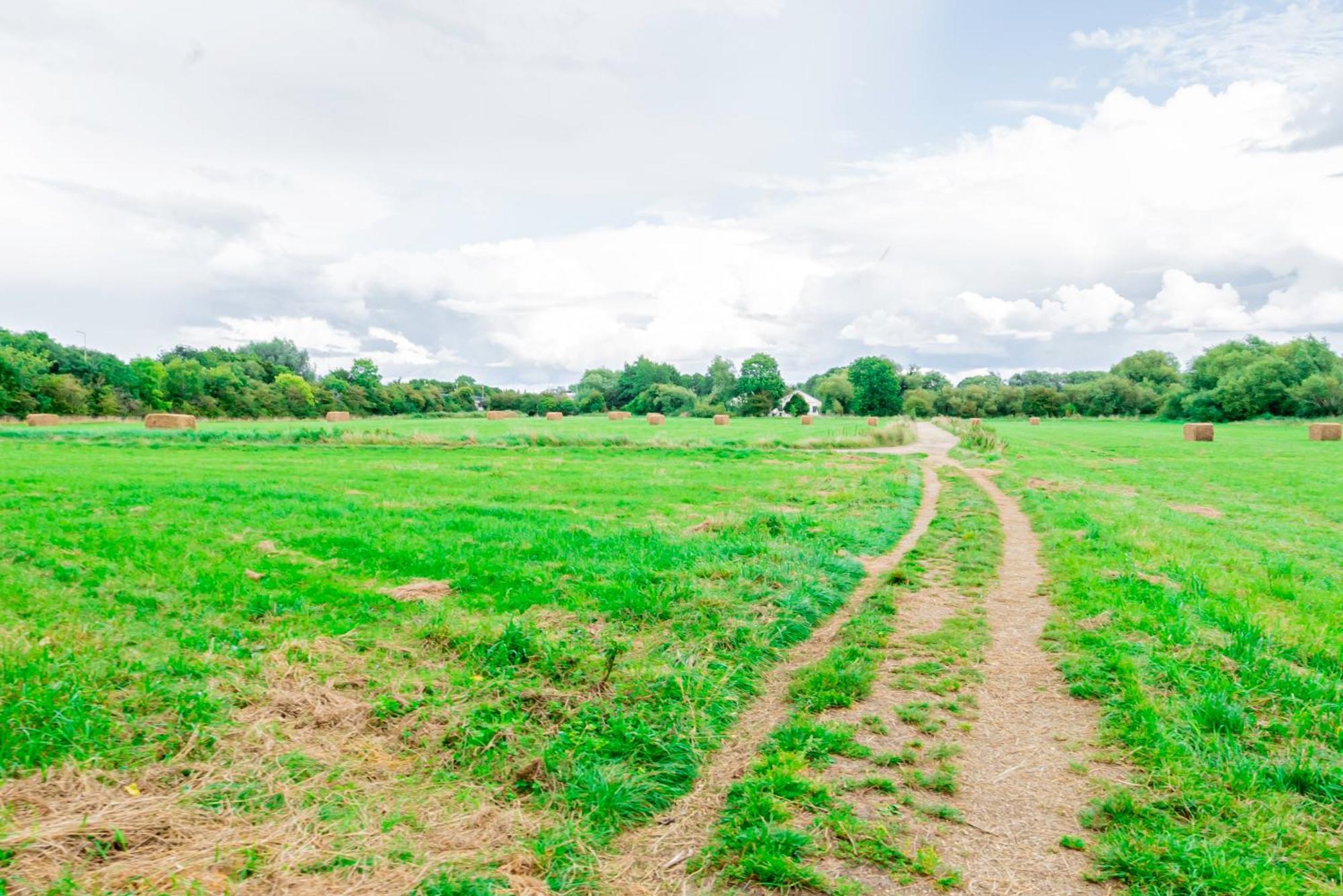 Charming 2-Bedroom Flat With A Garden And Free Parking At Abingdon Oxford Eksteriør billede